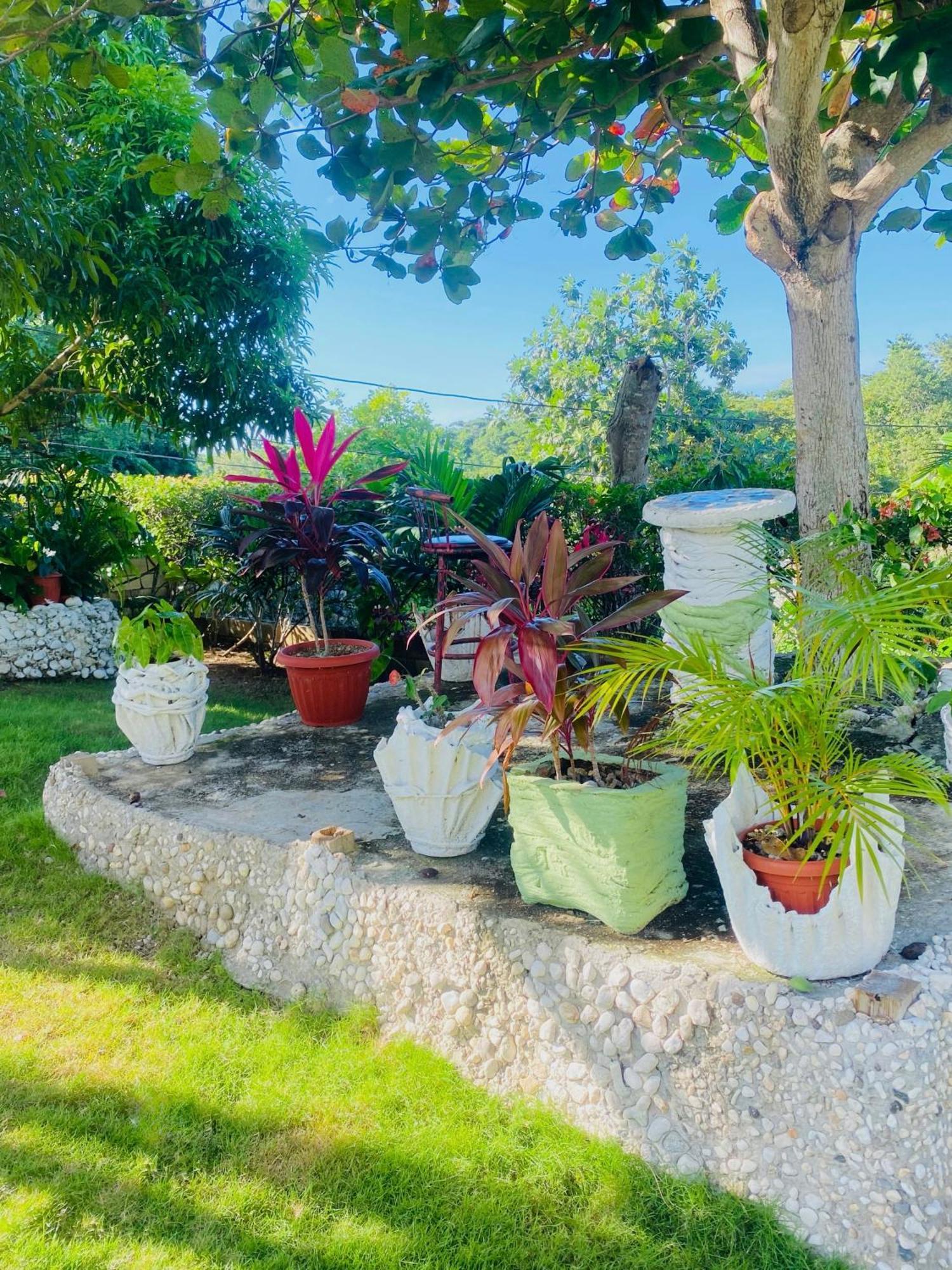 Cindy'S Garden Stay Очо-Риос Экстерьер фото